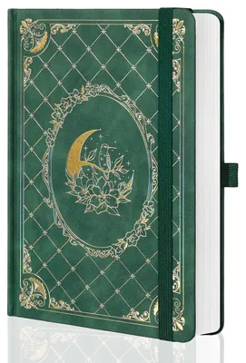 Produktbild von Liniertes Notizbuch A5 Hardcover 320 Seiten 100 g/m² Papier Grün