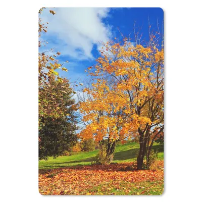 Produktbild von MuchoWow® Mauspad Mousepad Baum - Blätter - Herbst - Jahreszeiten 18x27 cm - Mousepads - Maus Mat - Pad - Mausunterlage