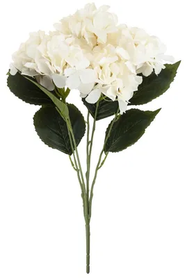 Immagine prodotto di Ortensia Bouquet denso di 5 fiori di ortensia 50Cm per vaso di canna