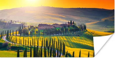 Produktbild von MuchoWow® Poster Gras - Sonne - Hügel - Landschaft 80x40 cm - Wanddeko