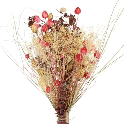 Produktbild von Boho-Trockenblumenstrauß mit Flockenblume und Erdbeerdistel