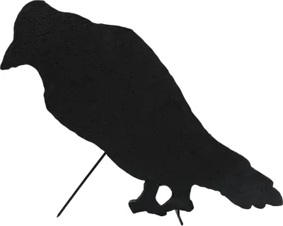 Produktbild von EUROPALMS Silhouette Krähe, 63cm (83505007)