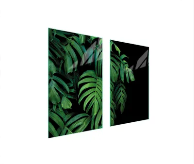 Produktbild von Glasschutzplatte Für Herd 75X52 Monstera