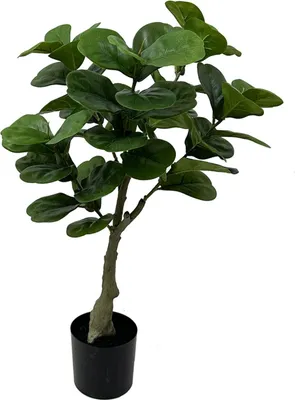 Produktbild von Present Time - Kunstpflanze Ficus - Grün - 45x45x72cm