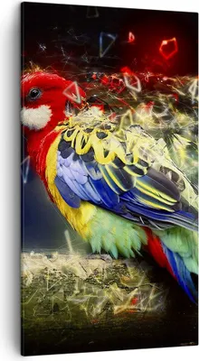 Produktbild von Bild auf Leinwand - Leinwandbild - Papagei Vogel Feder - 45x80cm - Wand Bild - Wanddeko - Wandbilder - Leinwanddruck - Bilder - Kunstdruck - Wanddekoration - Leinwand bilder - Wandkunst - PA45x80-3682