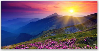 Produktbild von Tulup Leinwand-Bilder 140x70 Wandbild Canvas Kunstdruck Gebirge Blume Wiese Landschaft
