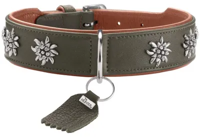 Productafbeelding van Hunter 69379, Pes, Standaard halsband, Kleur: Cognac, Groen, Leer, Effen, Maat M-L