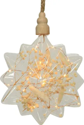 Produktbild von Lumineo Micro LED Stern transparent 25 cm