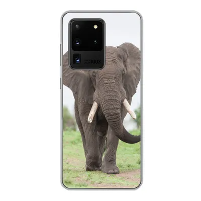 Produktbild von MuchoWow® Handyhülle Schutzhülle Hülle für Samsung Galaxy S20 Ultra Elefant - Tiere - Gras - Natur Silikon Softcase Handy Hülle - Karteninhaber