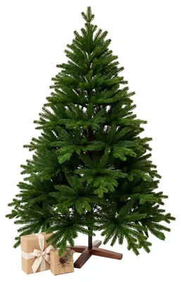 Immagine prodotto di Albero di Natale NORDMANN 240 in polietilene verde 158x240 cm