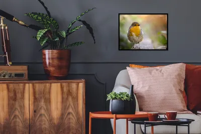 Produktbild von MuchoWow® MuchoWow® Gerahmtes Poster Vögel - Rotkehlchen - Baum 40x30 cm - Poster mit zchwarzem Bilderrahmen - Kunstposter - Wanddekorationen