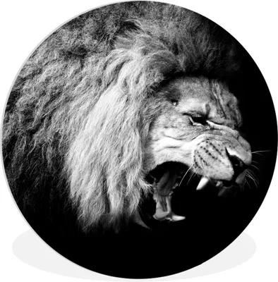Produktbild von MuchoWow® Rundes Wandbild - Runde Bilder Löwe - Porträt - Schwarz - Weiß - Tiere Ø 30 cm Kreis Wanddekoration Kunststoff - Wandkreis - Wandschmuck - Schlafzimmer - Bilder - Der Kreis - Kunst für die Wohnung - Plastik - Kunstdruck - Wandbild
