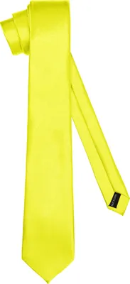Image de Cravate classique pour hommes, brillante, couleurs variées TMS-7 150cmx7cm