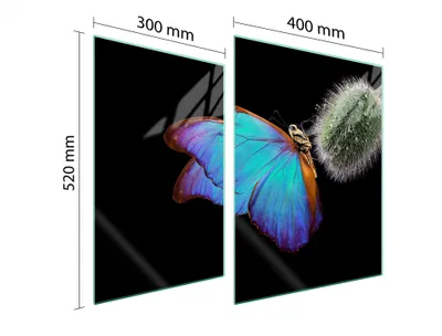 Obrázek produktu pro Ochranná Deska Pro Herd 70X52 Butterfly