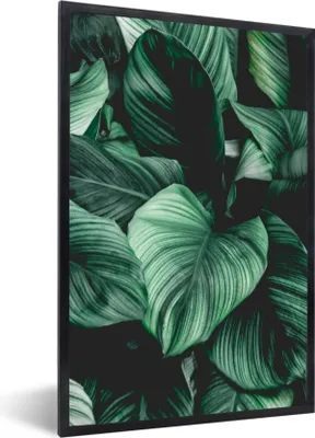 Produktbild von MuchoWow® Gerahmtes Poster Dschungel - Blätter - Tropisch - Pflanzen - Natur 60x90 cm - Poster mit Schwarzem Bilderrahmen Wandposter Rahmen Foto Bilder - Kunst