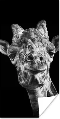 Produktbild von MuchoWow® Poster Giraffe - Tier - Schwarz - Weiß 60x120 cm - Wandschmuck