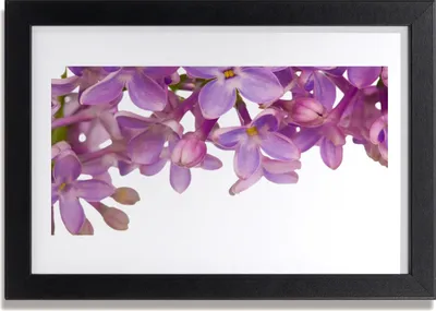 Produktbild von Bild 30x20 MDF-Rahmen Wandkunst Blumen Pflanzen