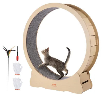 Immagine prodotto di Ruota per gatti - Ruota girevole per gatti - Ruota per gatti - Ruota da corsa per gatti - Ruota da corsa per gatti - Modello grande, 132 cm