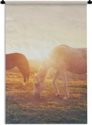 Produktbild von MuchoWow® Wandteppich Wandbehang Pferde - Sonne - Tiere 90x135 cm Tapisserie Dekoration Wandtuch - Baumwolle - Wandskulptur