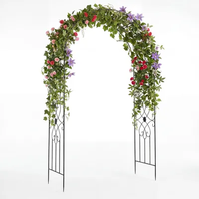 Productafbeelding van COSTWAY Rozenboog van metaal, tuinboog voor klimplanten en bloemen, klimhulp, klimrek, stabiele rozenboog, rozenrek, zwart, 145 x 51 x 225 cm