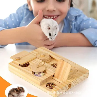 Produktbild von Hamster Zubehörset Spielzeug für kleine Tiere - 6-in-1 Holzspielzeug zur Futtersuche