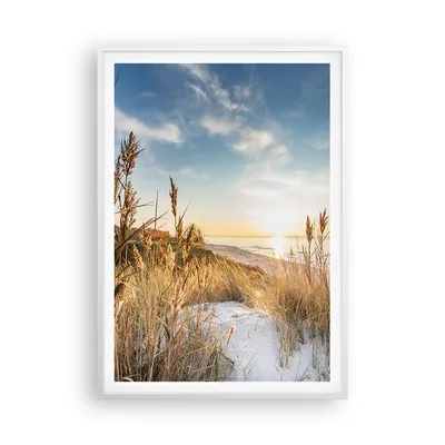 Produktbild von Gerahmtes Poster - Weißer Rahmen - Ähren Küste Sonne - 70x100 cm - Wand Bild - Wanddeko - Wandbilder - Kunstposter - Wandposter - Bilderrahmen - Bilder - Kunstdruck - Wanddekoration - P2WPA70x100-4653