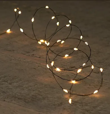 Productafbeelding van Kerstverlichting Batterijverlichting LED wire zwart draad 20 LED / 1 meter warm wit Anna's collection