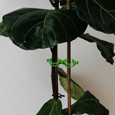 Produktbild von Famanu Pflanzenclips zur Unterstützung von Gartenpflanzen - 150 Stück - grün