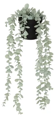 Image de Eucalyptus artificiel MERLY, 51 cm