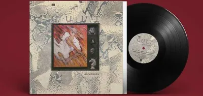 Image de La secte : The Cult : Dreamtime - - (LP / D)