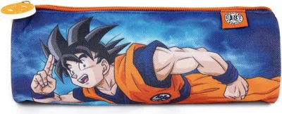 Produktbild von Dragon Ball Federmäppchen 21 cm