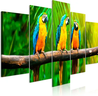 Produktbild von Leinwandbilder 200x100 cm g-B-0219-b-m Vlies Leinwandbild 5 tlg Kunstdruck modern Wandbilder XXL Wanddekoration Design Wand Bild PAPAGEI VOGEL