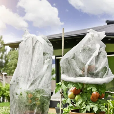 Produktbild von Tomaten Vlieshaube für 5-7 Tomatenstöcke