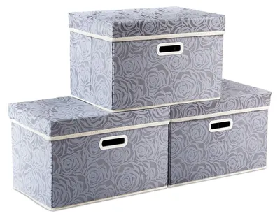 Immagine prodotto di Contenitori di medie dimensioni con coperchio, color grigio (set da 3)
