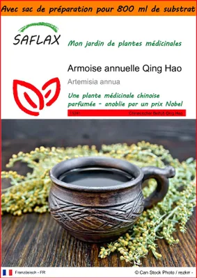 Image de SAFLAX Garden in the bag - Armoise annuelle Qing Hao - 250 graines - Artemisia