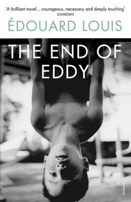 Productafbeelding van The End of Eddy