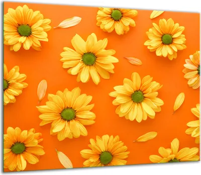 Produktbild von Herdabdeckplatten Glaskeramikkochfeld-Abdeckung Spritzschutz Glas 60x52cm Blumen