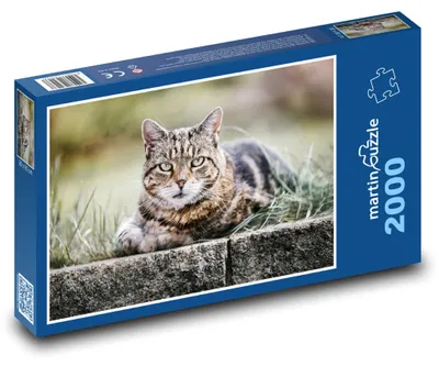 Obrázok produktu pre Puzzle 2000 Mačka - tigrica, zviera - martinpuzzle