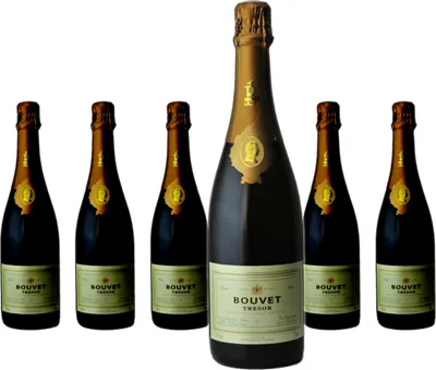Produktbild von 6 x Bouvet Trésor Saumur Brut
