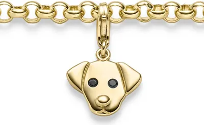 Produktbild von Einhänger Hund Hundkopf Anhänger Charm 585 Gold Gelbgold glänzend 12,5x20,5mm