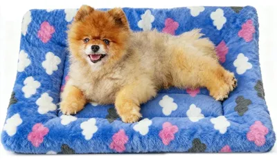 Produktbild von Fleece-Decke für kleine Hunde und Katzen