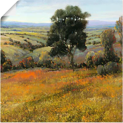 Produktbild von ARTland Poster Feld im Sommer Größe: 70x70 cm