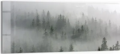 Produktbild von DEQORI Glasbild Echtglas 150x60 cm 'Nebelwaldmystik' Wandbild Bild modern Deko