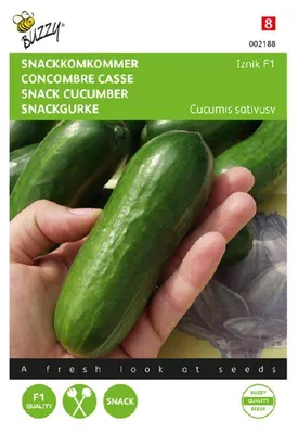 Immagine prodotto di Cetriolo da snack Iznik F1 | Semi di mini cetrioli di Buzzy Seeds