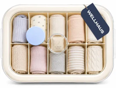 Produktbild von WELLHAUS Schubladen Organizer 10 Fächer Creme mit Deckel Staubschutz
