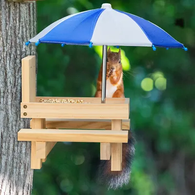 Immagine prodotto di Mangiatoia da tavolo per scoiattoli da picnic con 2 ombrelli