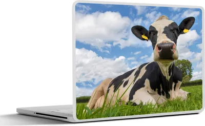 Produktbild von MuchoWow® Laptop Aufkleber Sticker Cover Kuh - Gras - Himmel 30x22 cm - Laptop-Sticker