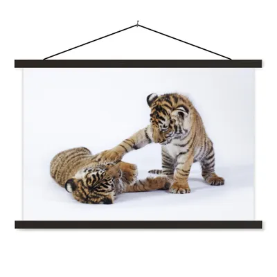 Produktbild von MuchoWow® Textilposter Tiger - Jungtier - Weiß 60x40 cm mit schwarzem Rahmen - Hölzernes