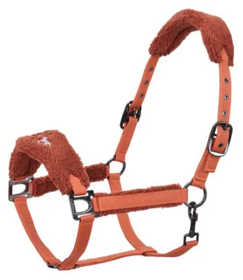 Image de HV Polo, collier en cuir HVPTeddy