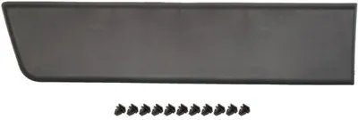 Produktbild von BLIC Seitenschutzleiste hinten rechts 5703-04-2097580P für FIAT Ducato Kastenwagen (250, 290) Ducato Pritsche / Fahrgestell (250, 290) Ducato Bus